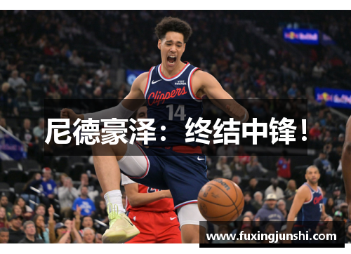 尼德豪泽：终结中锋！